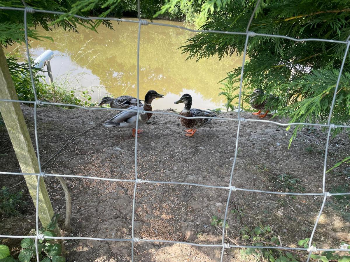 Mallard S Retreat Бландфорд Форъм Екстериор снимка